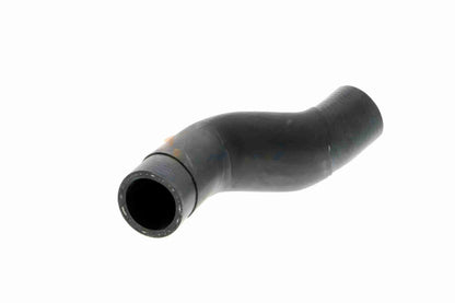 17 12 7 559476 BOTTOM HOSE MINI