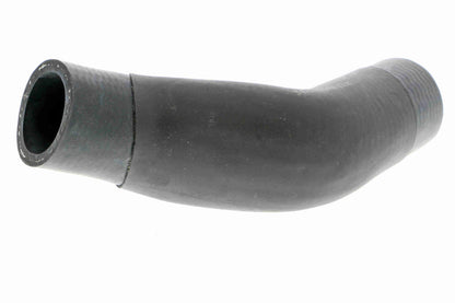 17 12 7 559476 BOTTOM HOSE MINI